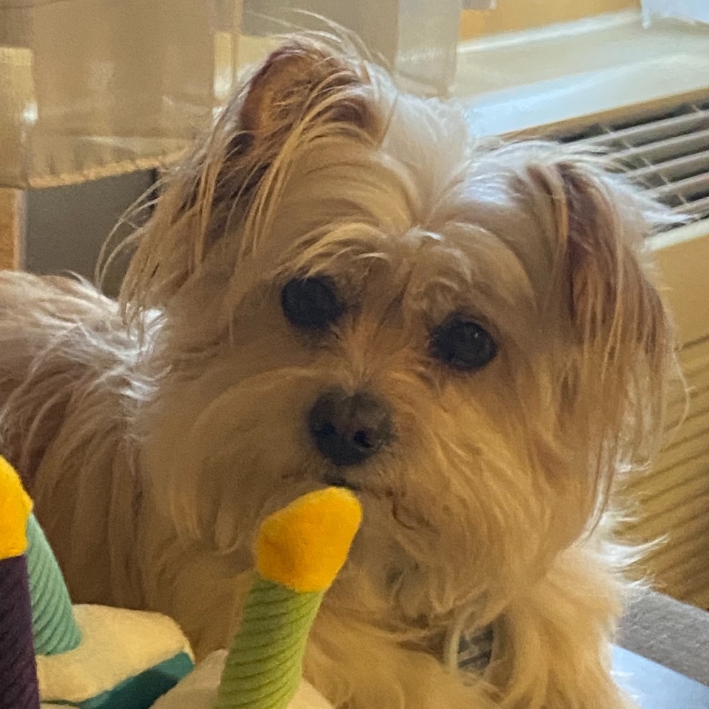 Meet your Posher, Le